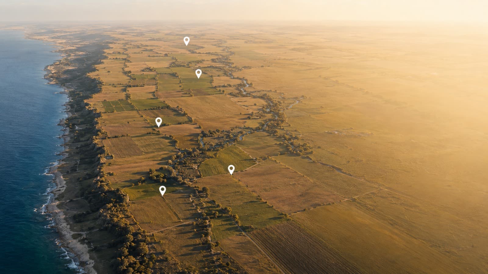 Campo argentino